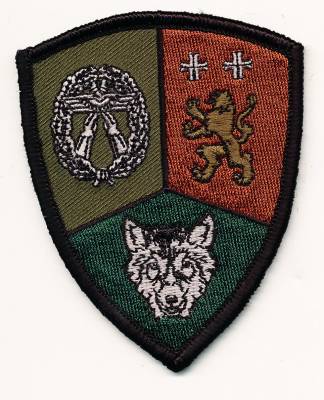 Patch Training Company, Security Regiment of the Air Force SCHORTENS, with velcro